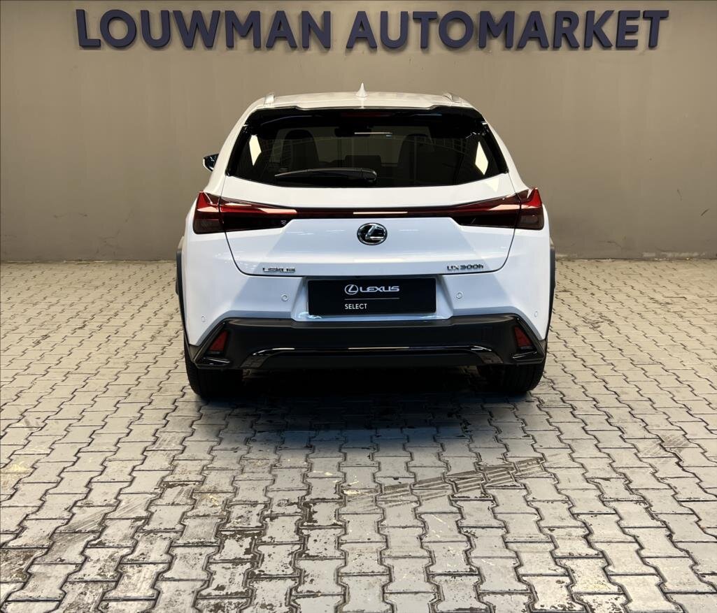 Lexus UX 300h Hatchback 2,0 l 146 kw