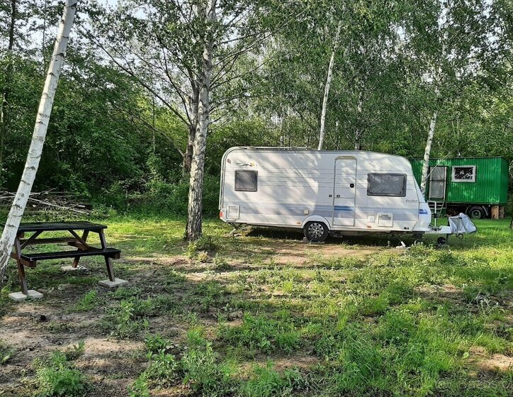 Ostatní Ostatní Ostatní 0,0 0