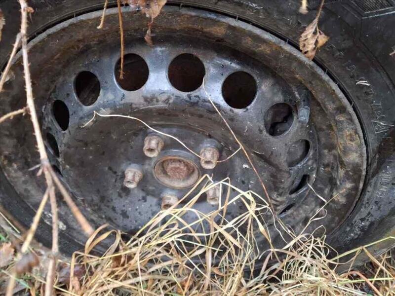 Škoda Octavia Ostatní 2,0 l 103 kw