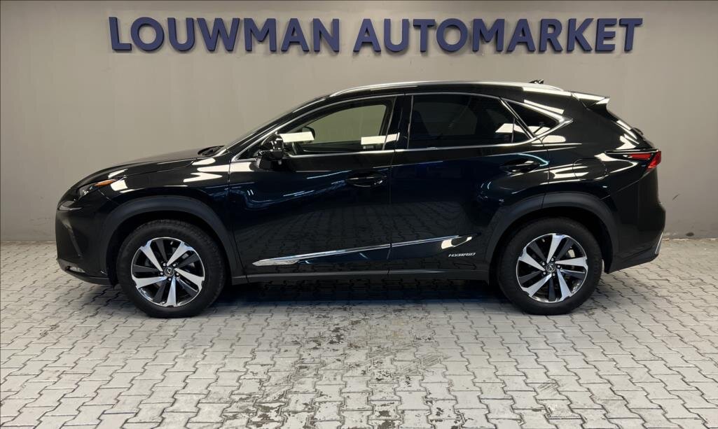 Lexus NX 300h