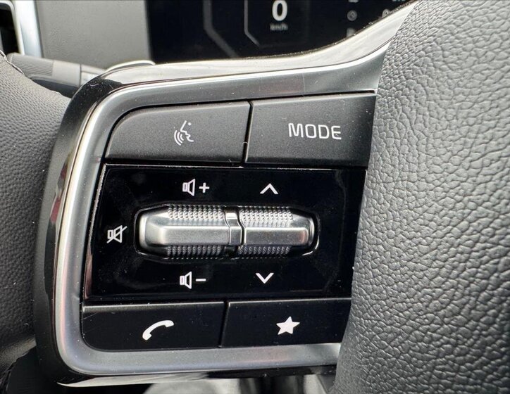 KIA Sorento SUV 2,2 l 142 kw