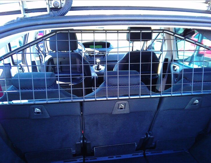 Citroën C4 Picasso Kombi 1,6 l 88 kw