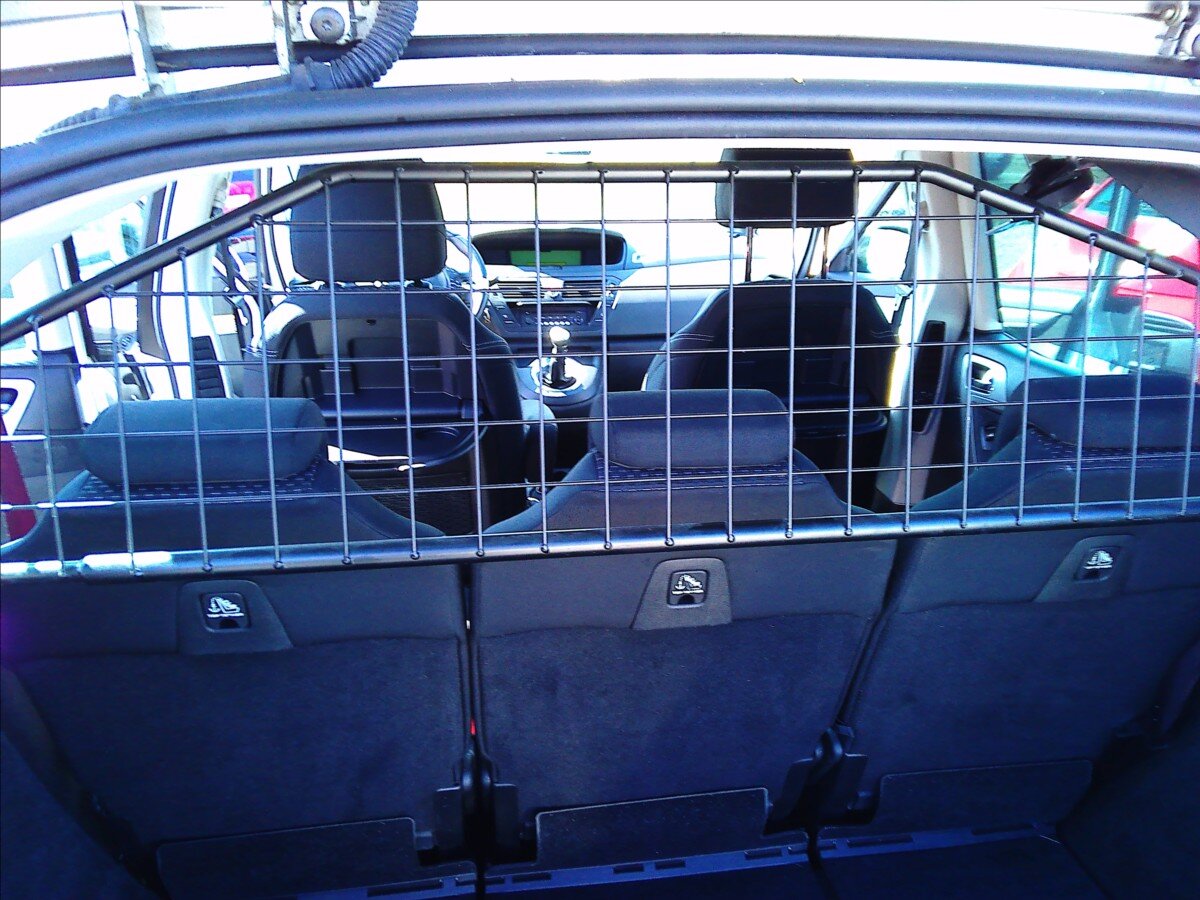 Citroën C4 Picasso Kombi 1,6 l 88 kw