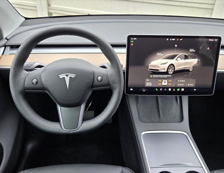Tesla Model Y 12
