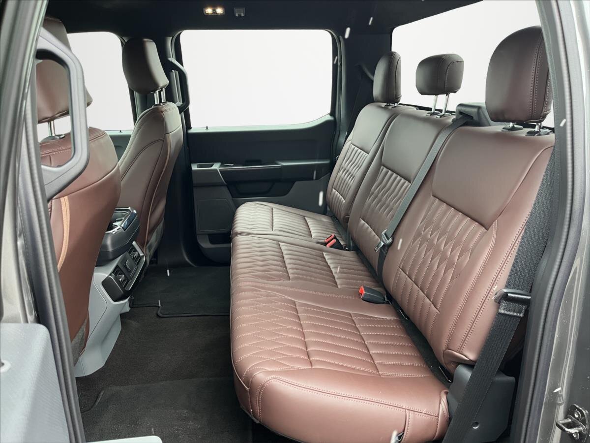 Ford F-150 Pick-up 5,0 l 298 kw