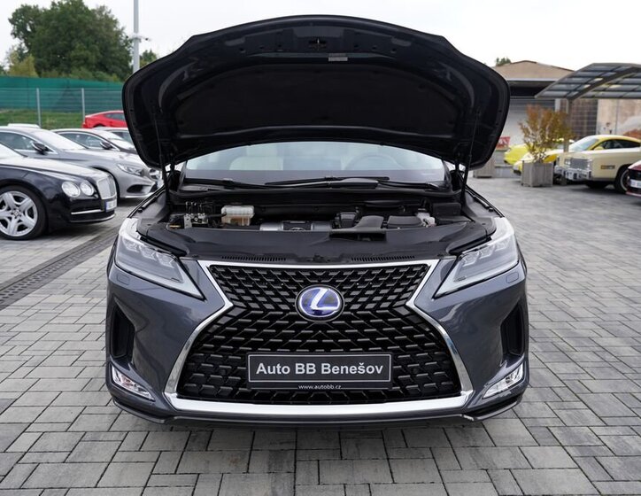 Lexus RX 450 9