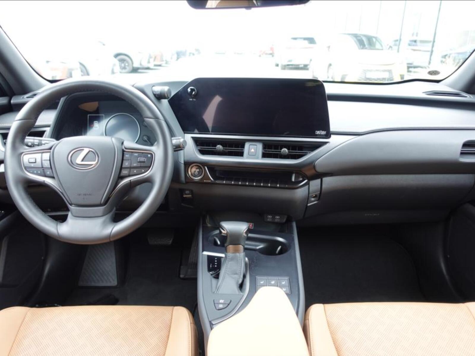 Lexus UX 250h 10