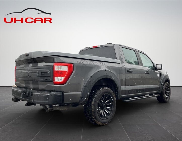 Ford F-150 Pick-up 5,0 l 298 kw