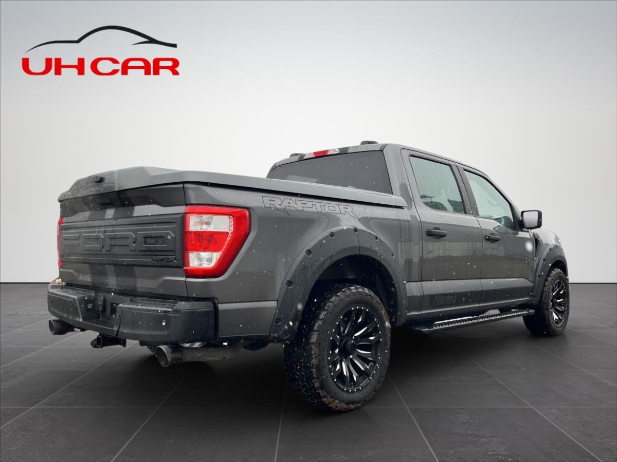 Ford F-150 Pick-up 5,0 l 298 kw