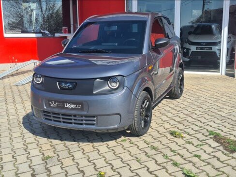 Ligier Ostatní Hatchback 499,0 6 kw