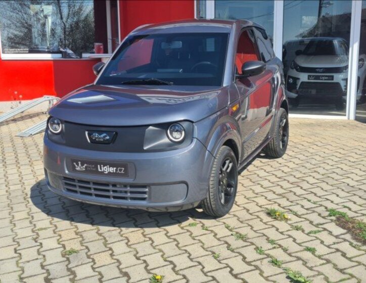 Ligier Ostatní Hatchback 499,0 6 kw