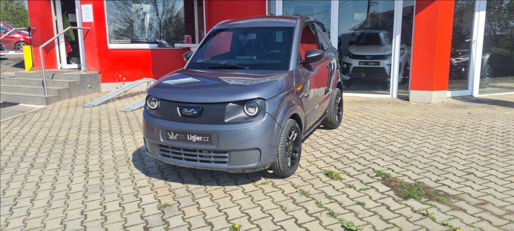 Ligier Ostatní Hatchback 499,0 6 kw