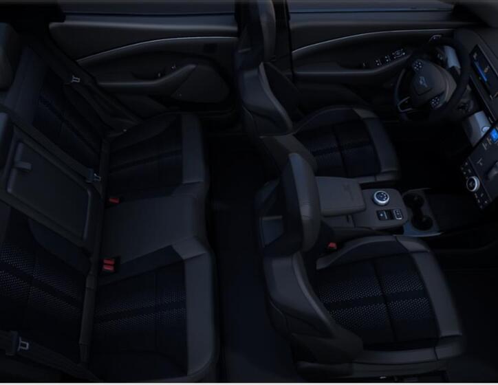 Ford Mustang Mach-E 4