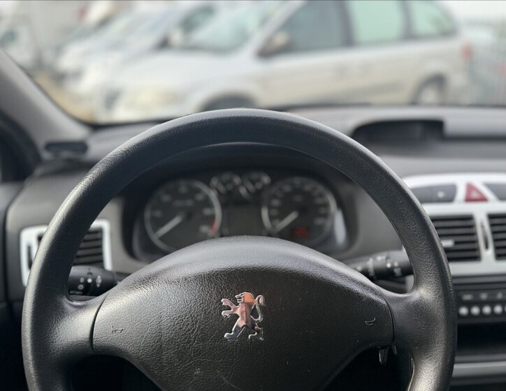 Peugeot 307 Hatchback 1,6 l 80 kw