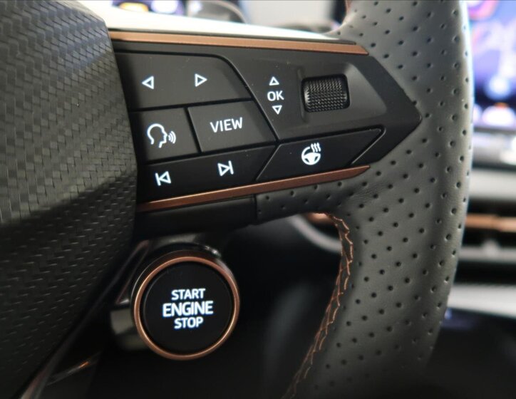 Cupra Terramar SUV 2,0 l 195 kw