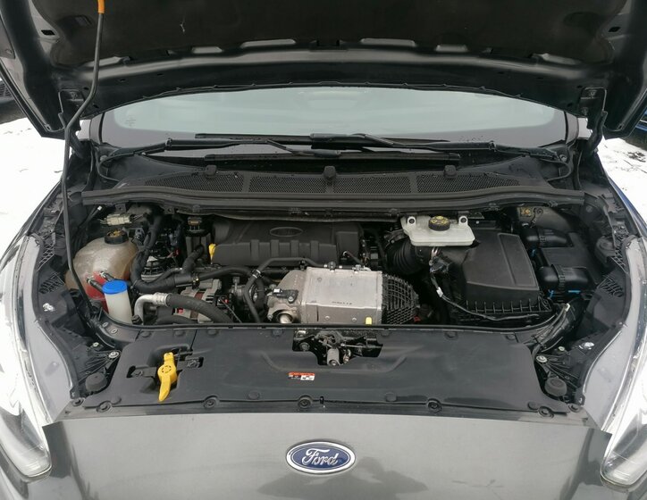 Ford S-MAX Ostatní 2,0 l 110 kw