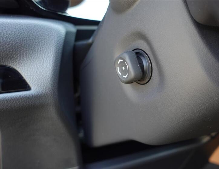 Lexus NX 450h plus 32