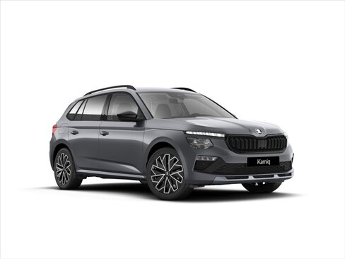 Škoda Kamiq CUV / Crossover 0,0 110 kw