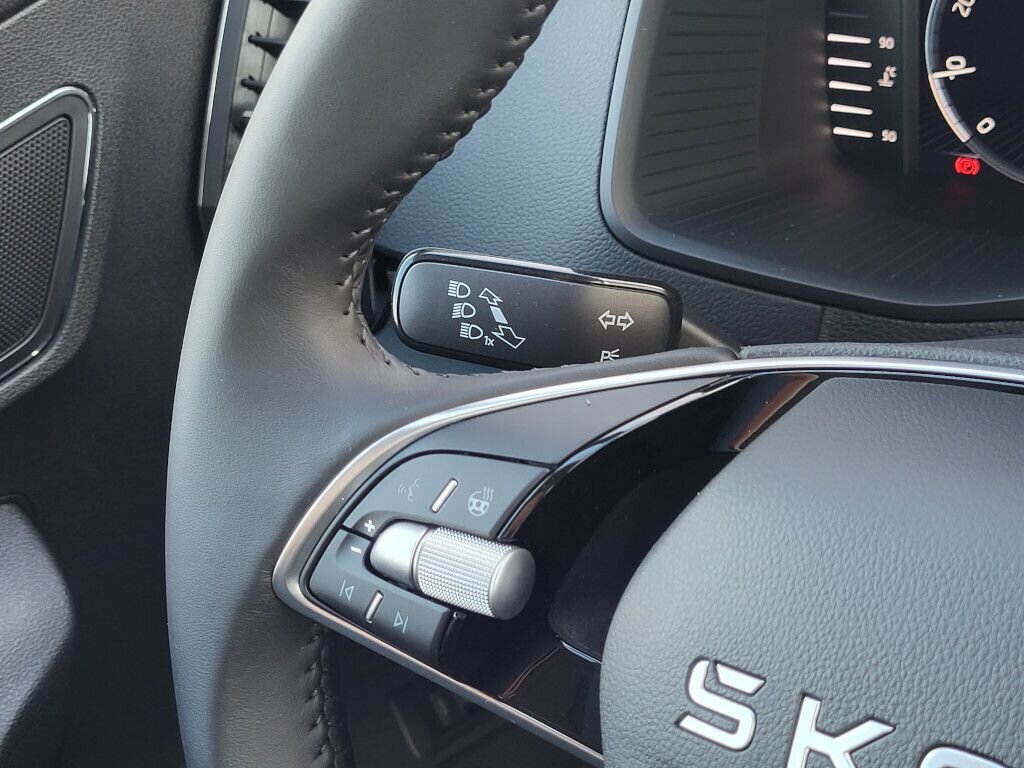 Škoda Karoq SUV / Terénní 1,5 l 110 kw