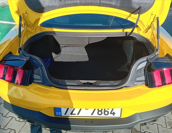 Ford Mustang Kupé 5,0 l 328 kw