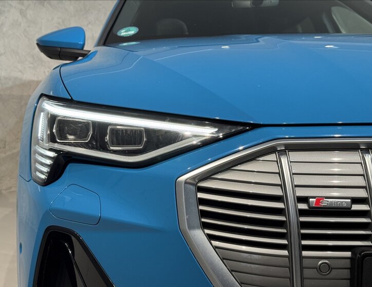 Audi e-tron SUV / Terénní 0,0 300 kw