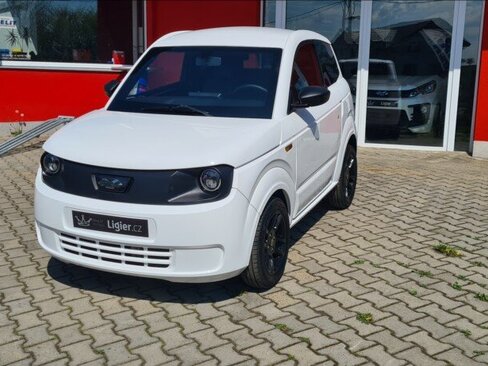 Ligier Ostatní Hatchback 499,0 6 kw