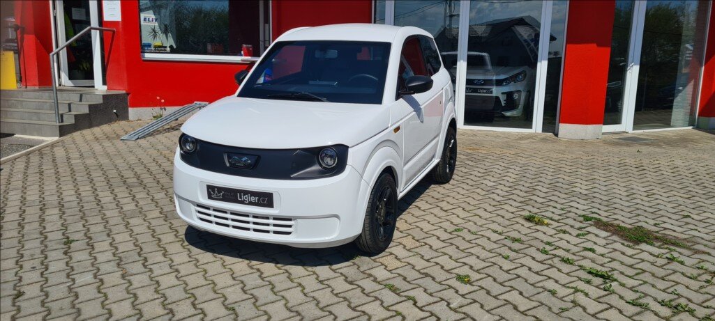 Ligier Ostatní Hatchback 499,0 6 kw