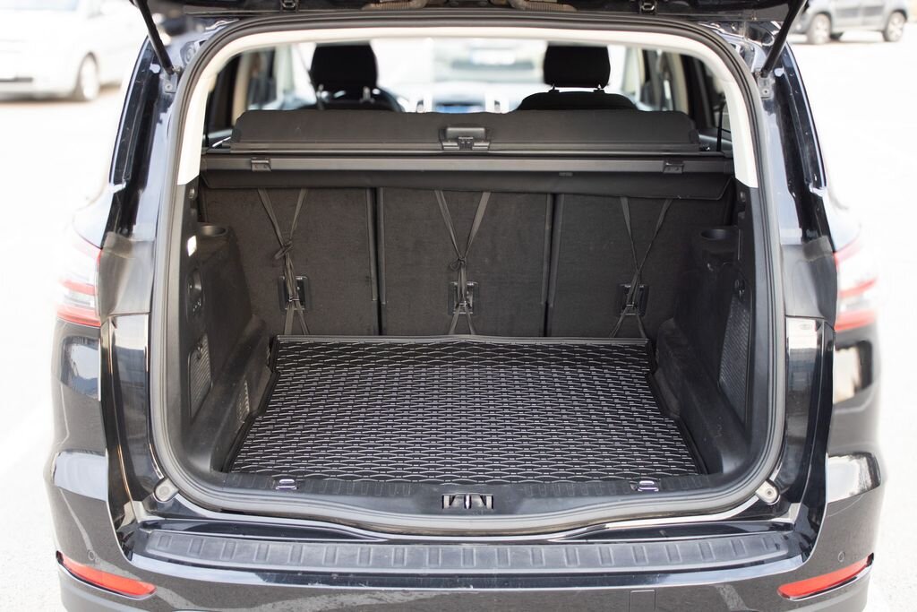 Ford S-MAX MPV 2,0 l 110 kw