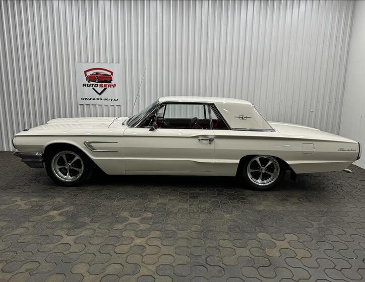 Ford Thunderbird 14