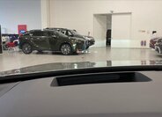 Lexus RX 450h plus 14