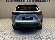 Lexus NX 350h 12