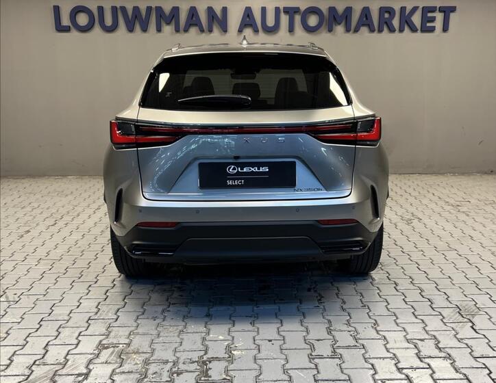 Lexus NX 350h 12