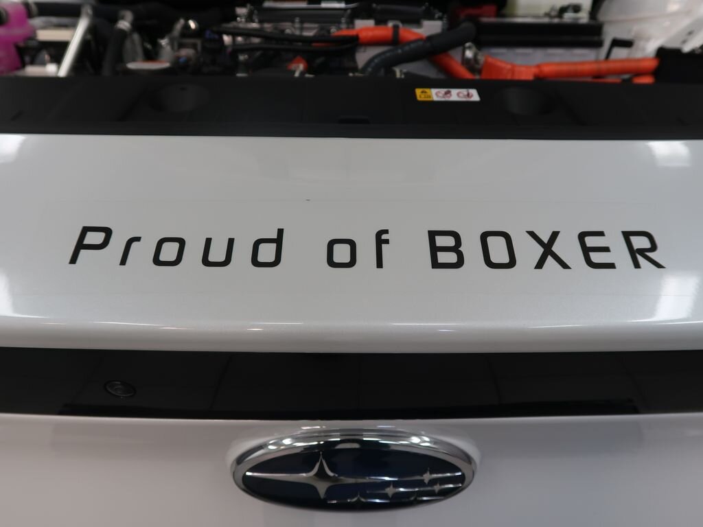 Subaru Solterra SUV 1,0 160 kw