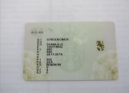 Citroën 2CV Hatchback 580,0 23 kw