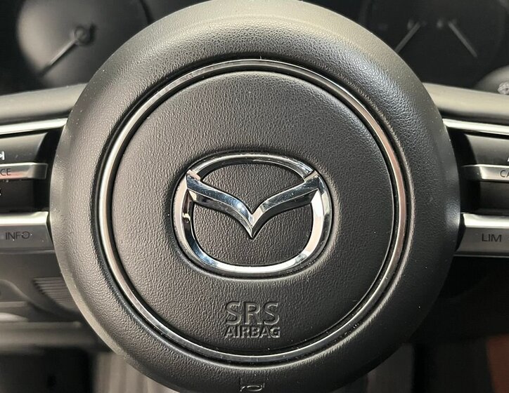 Mazda MX-30 SUV / Terénní 0,0 107 kw