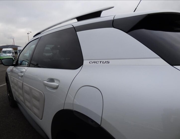 Citroën C4 Cactus 39