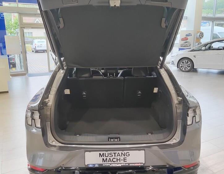 Ford Mustang Mach-E 16