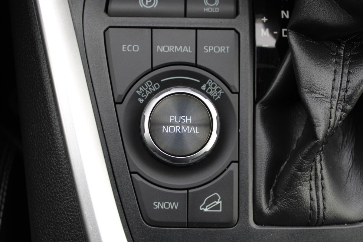 Toyota RAV4 SUV 2,0 l 129 kw