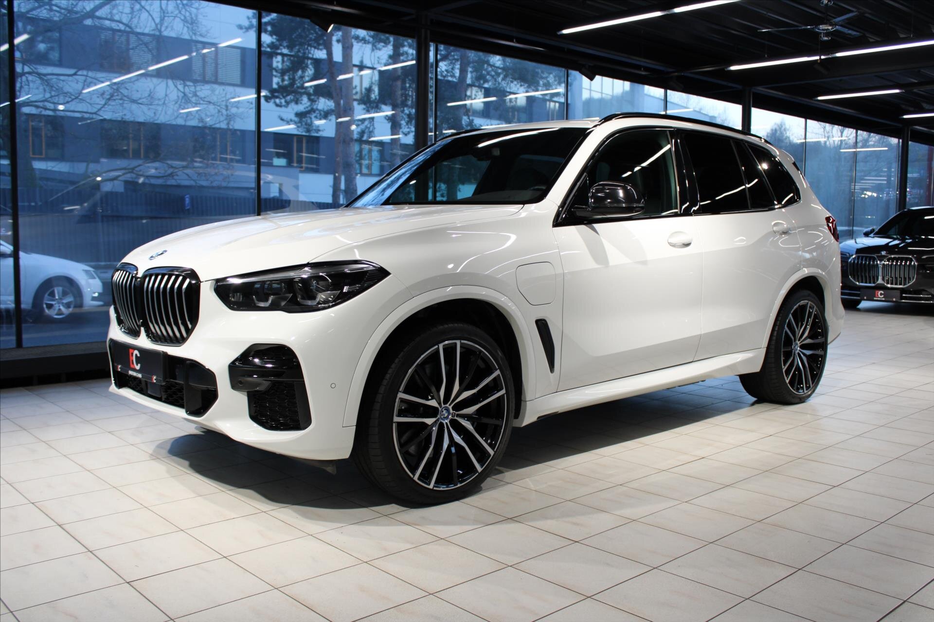 BMW X5 SUV 3,0 l 290 kw
