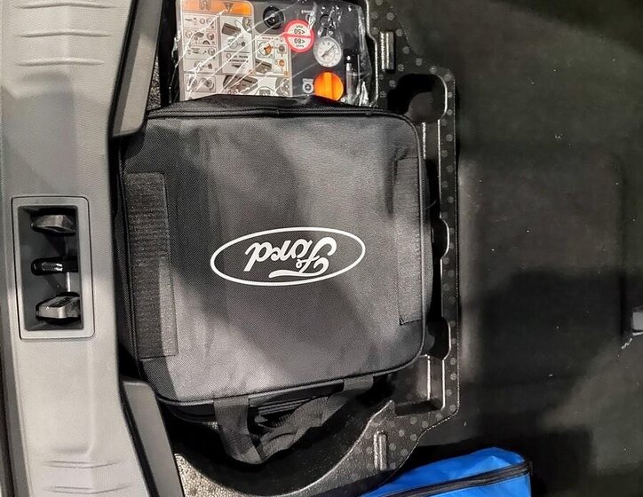 Ford Mustang Mach-E SUV 0,0 198 kw