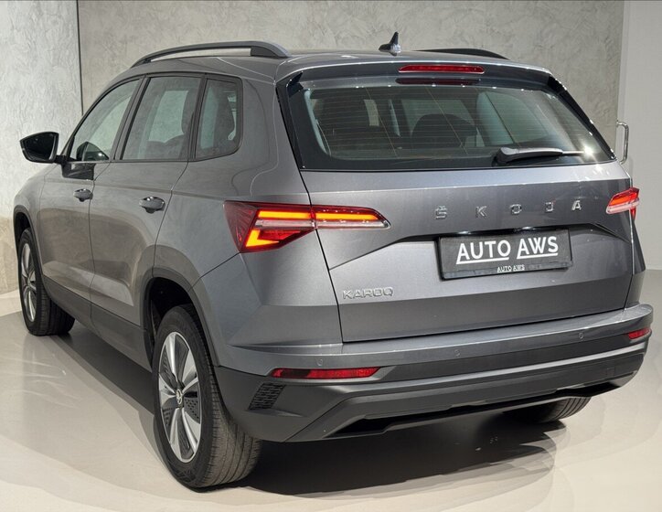 Škoda Karoq 9