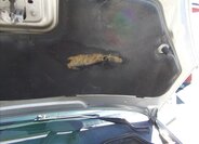 Ford C-MAX MPV 1,6 l 80 kw