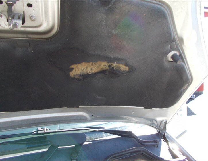 Ford C-MAX MPV 1,6 l 80 kw