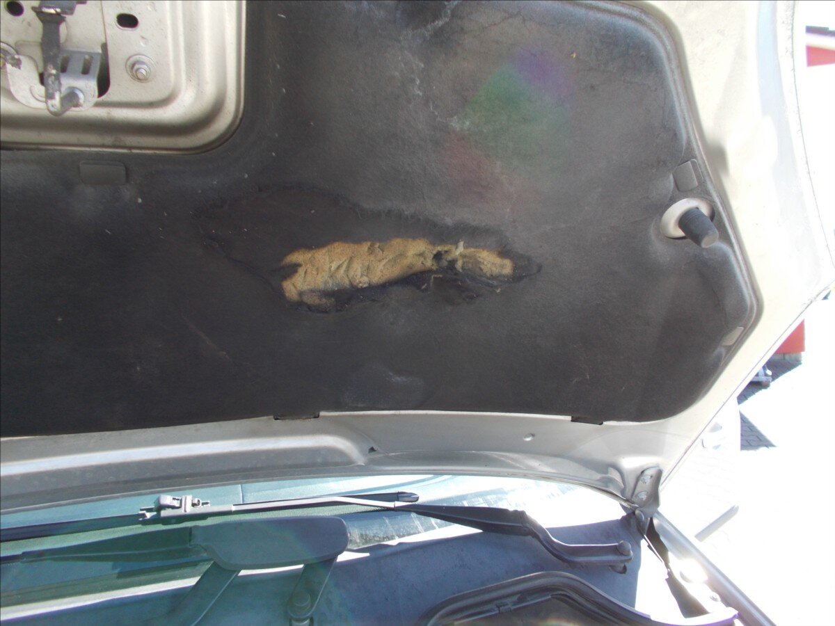 Ford C-MAX MPV 1,6 l 80 kw