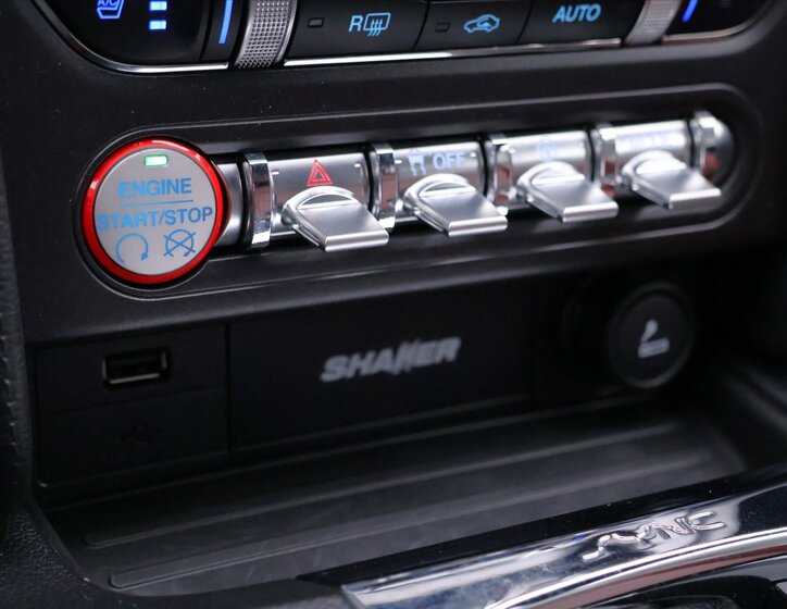 Ford Mustang Kupé 5,0 l 310 kw