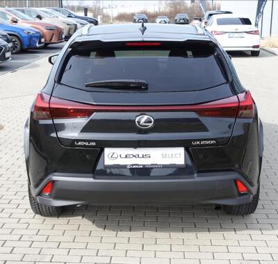 Lexus UX 250h 6