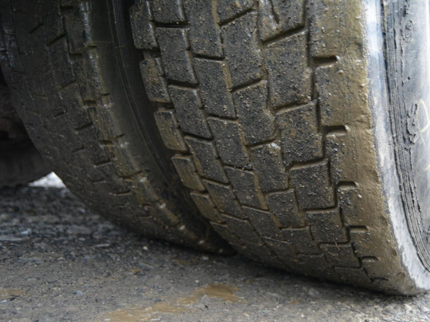 DAF Ostatní Sklápěč 12,9 l 340 kw