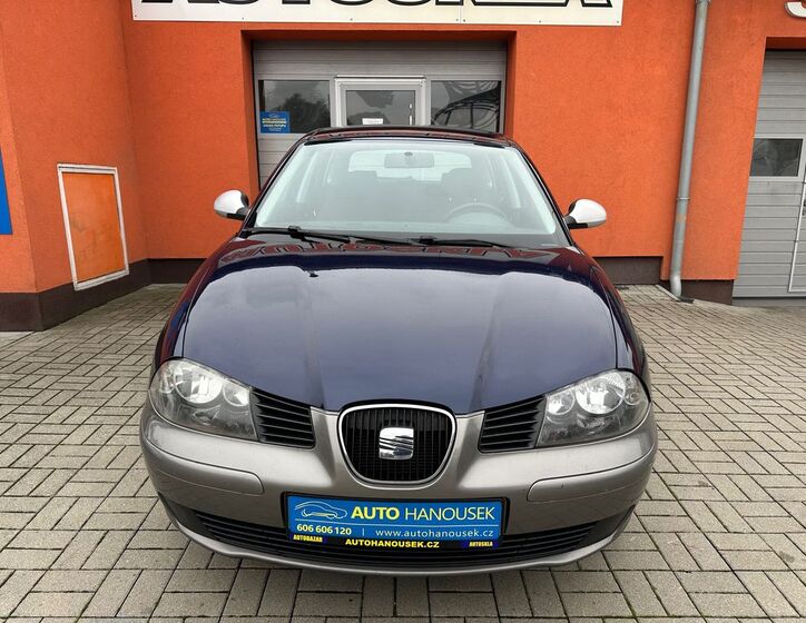 Seat Ibiza 5