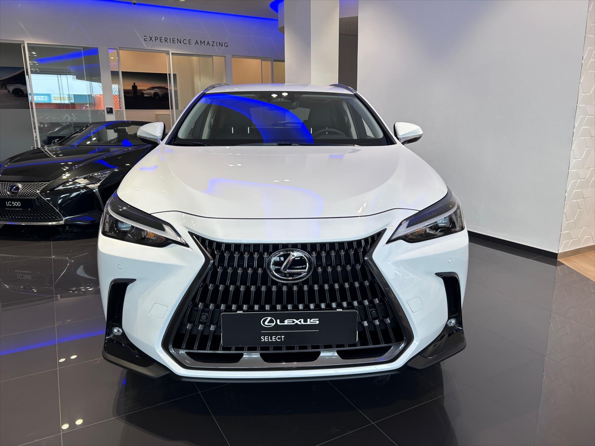 Lexus NX 350h SUV / Terénní 2,5 l 146 kw