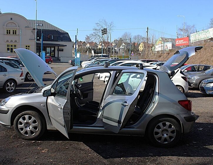Peugeot 307 Hatchback 2,0 l 66 kw
